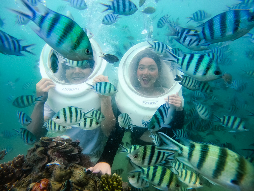 Tour Phú Quốc  | Thiên Đường Nam Đảo